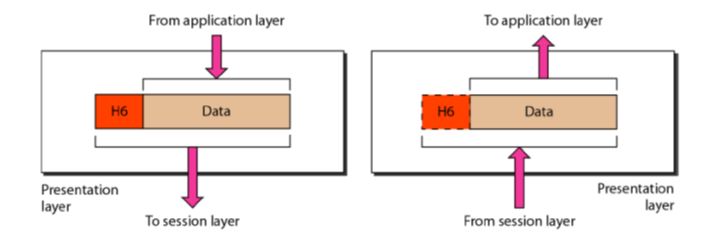 OSI Layers_Presentation layer